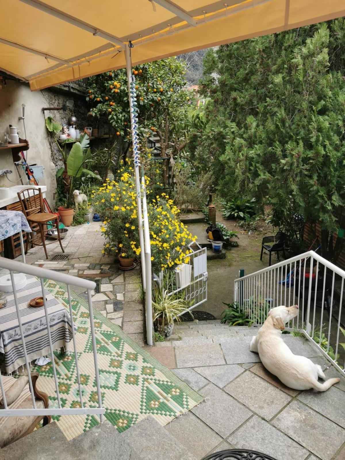 Hotel Itaca à Varazze Extérieur photo
