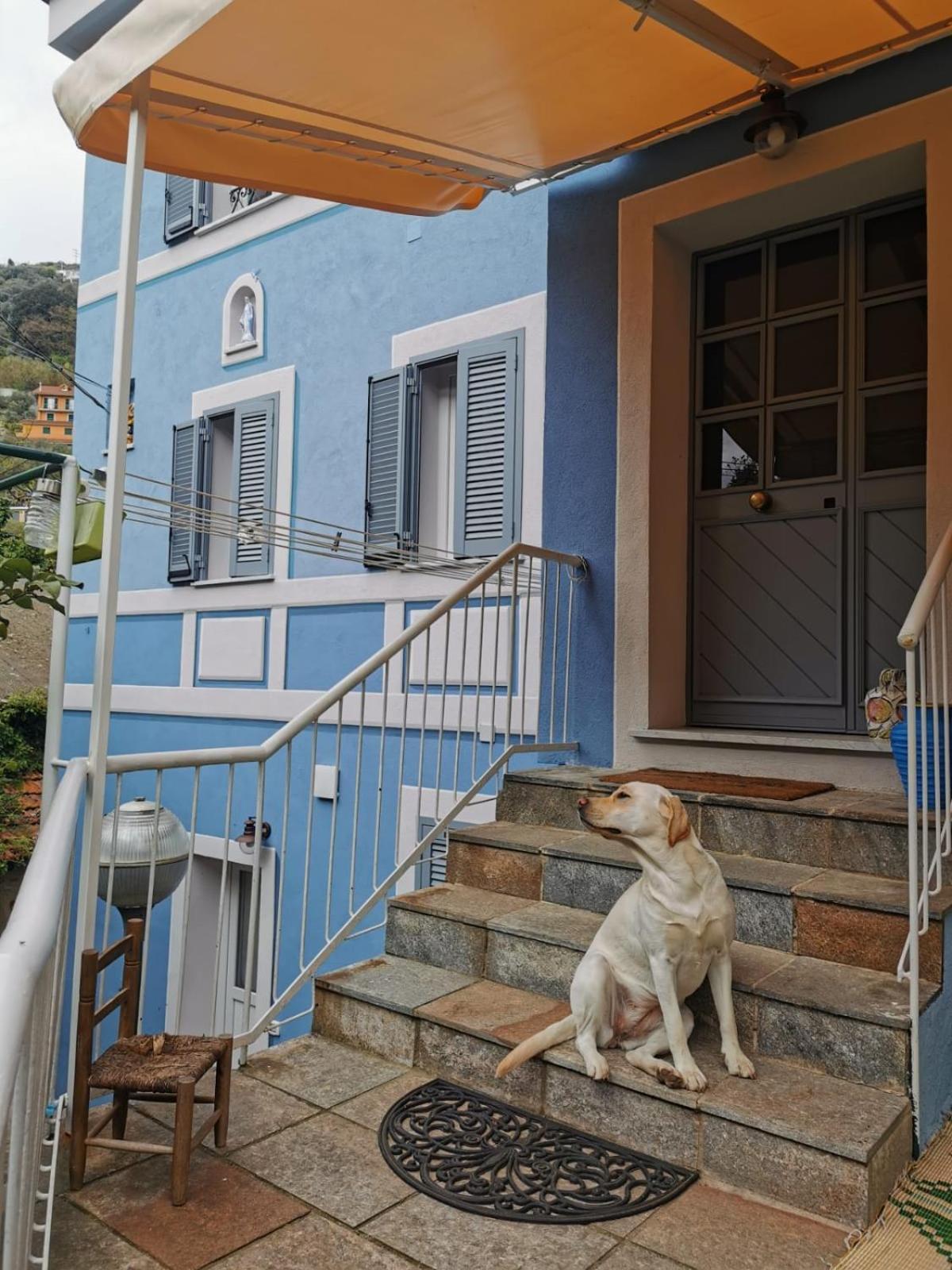Hotel Itaca à Varazze Extérieur photo